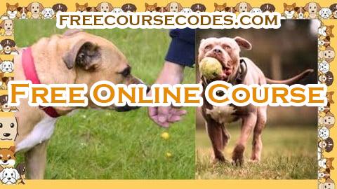 100% OFF Complete Pet Care Guide:  Solve Your Dog Care Challenges Coupon Code