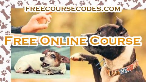 100% OFF Dog Obedience Training & Care Guide: Basics to Advanced Coupon Code