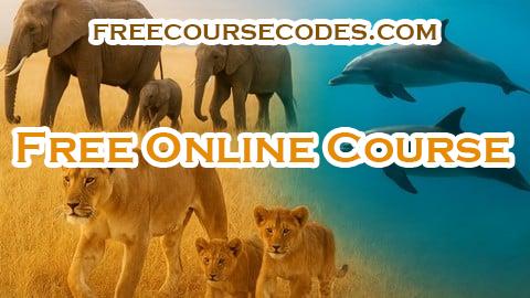 100% OFF Etholog in actiony: How Animals Think & Survive in the Wild Coupon Code