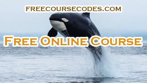 100% OFF Formation Orcaflex pour débutants/étudiants/Ingénieurs Coupon Code