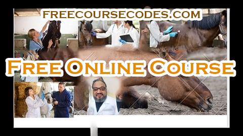 100% OFF horse colic  what can we do Coupon Code