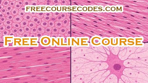 100% OFF Mastering Histology: Microscopic Anatomy Made easy Coupon Code