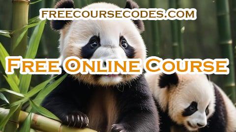 100% OFF Mastering Python, Pandas, Numpy for Absolute Beginners Coupon Code