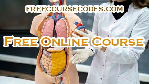 100% OFF Medical Coding Part 2: CPT Coding & Medical Billing Basics Coupon Code