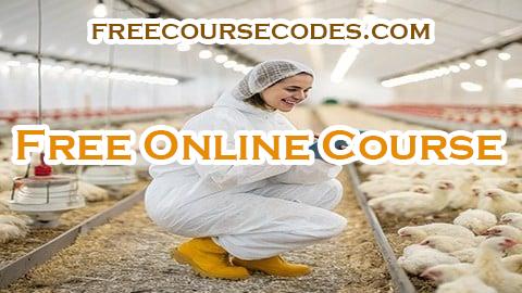 100% OFF Profitable Broiler Farming: Step-by-Step Guide Coupon Code