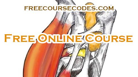 100% OFF Región femoro tibio rotuliana, anatomia, biomecanica y casos Coupon Code