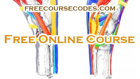 100% OFF Tarso equino, anatomia, biomecánica y casos clínicos Coupon Code