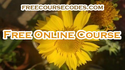 100% OFF Unlock the Secrets of Polynomials: Command On Algebra inside Coupon Code